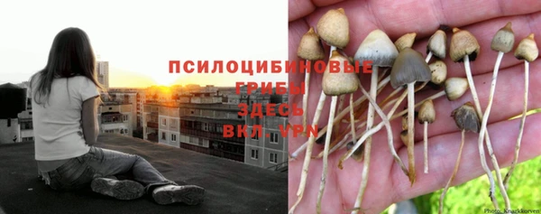 кокаин перу Богданович