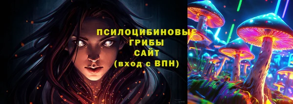 индика Братск